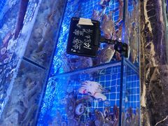 -渔民船说·北塘海鲜·天津菜·海肠捞饭(北塘古镇店)