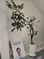 点击看大图 -木子美学