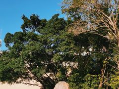 -广州市白云山风景名胜区
