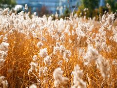 -中关村生命科学园