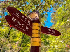 -塔云山