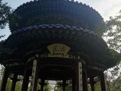 -迎泽公园