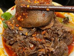 -水巷子·巴掌腰片重庆火锅(巧家店)