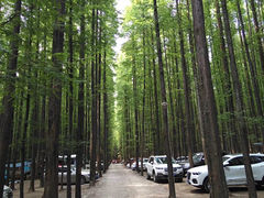 -山王坪喀斯特国家生态公园