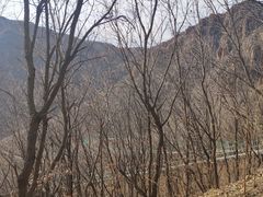 -伏羲山旅游区