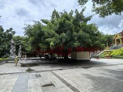 -西双版纳勐泐文化旅游区