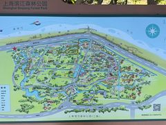 -上海滨江森林公园