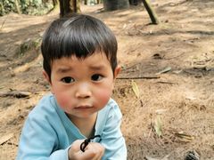 -铁山坪森林公园