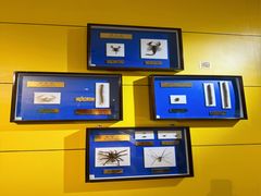 -上海昆虫博物馆