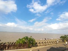 -上海滨江森林公园