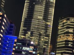 -黄浦江游览快线(金陵东路码头)