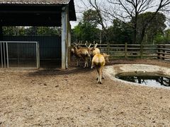 -苏州太湖西山岛开心农场