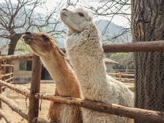 -西安秦岭野生动物园