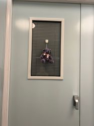 点击看大图 -杭州贝瑞斯美华妇儿医院·早孕·产检·儿科