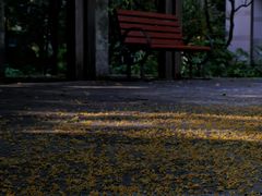 -新湖明珠城
