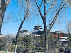 -莲花池公园