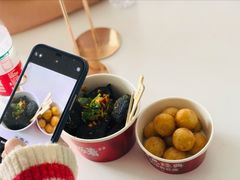 -黑色经典臭豆腐·湖南特产(坡子街店)