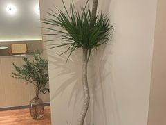 -青曼SPA·按摩·采耳·足道(龙之梦店)
