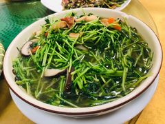 蔬菜-成惠食府(赤岗店)