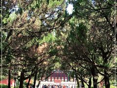 -南岳衡山风景名胜区-南岳大庙