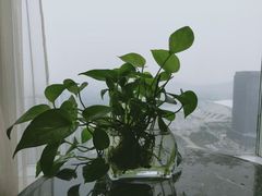 -南通金石国际大酒店