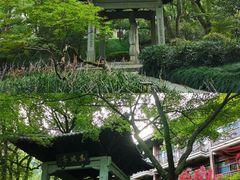 -杭州花家山庄