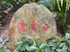 -阳台山森林公园