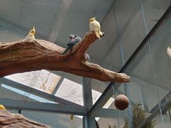 -石家庄市动物园