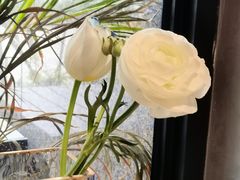 -九月里.自由花园餐厅