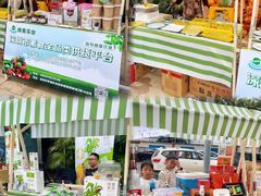 -若蘭慈·无国界素食料理(欢乐海岸店)