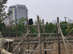 -南昌动物园