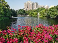 -荔湾湖公园