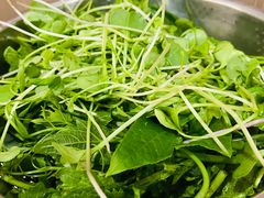 -黔府豆米火锅野菜馆(南马店)