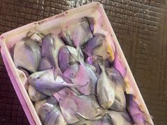 -中国舟山国际水产城