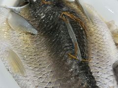 -御膳粥·牛乳粥底火锅·地道顺德菜(容桂店)