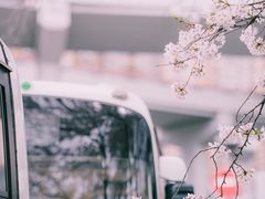 -上海南浦大桥长途旅游客运站