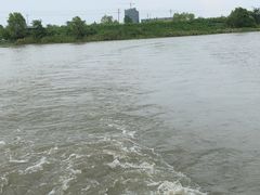 -长兴太湖图影湿地文化园
