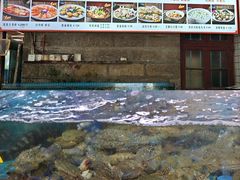 -坛南湾阿强农家乐.海鲜大排档老字号(福州地标美食店)