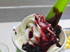 -Salud撒露欧洲冻酸奶(北苑上品店)