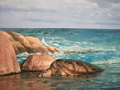 -福州罗源湾海洋世界旅游区