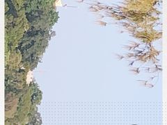 -胡里山炮台