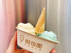 -极拉图·现制冰淇淋(大卫城店)
