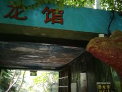 -呀路古热带植物园