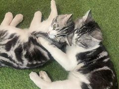 -炼呗运动康复·健身工作室(紫竹桥店)