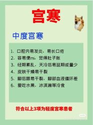 -香薇妮丝女子减肥院