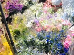 -循礼门鲜花花市(武汉循礼门店)