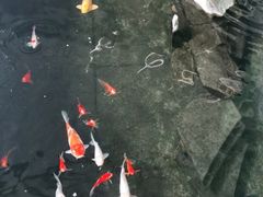 -乐清中升星辉奔驰4S店(乐成市区店)