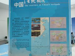-中国湿地博物馆