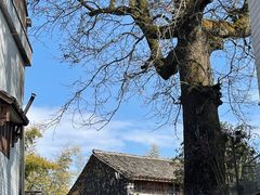 -乌石村
