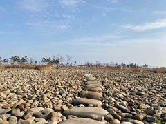 -鹦鹉洲湿地公园